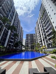 La Fiesta (D19), Condominium #411321531